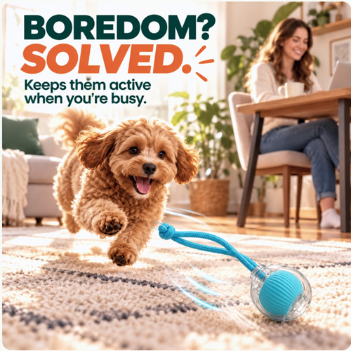 360° Smart Interactive Pet Ball