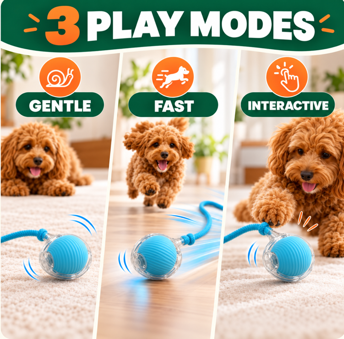 360° Smart Interactive Pet Ball
