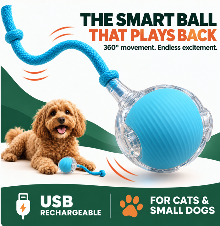 360° Smart Interactive Pet Ball