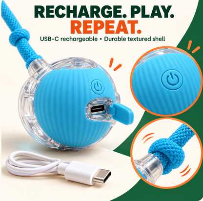 360° Smart Interactive Pet Ball